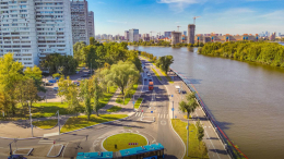 Собянин рассказал о планах высадки деревьев в рамках благоустройства в 2026 году