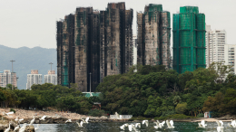 Более 90 домашних питомцев спасены в Гонконге из сгоревших небоскребов