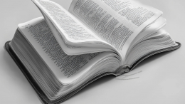 «Приманка для гнева»: Оксфордский университет назвал слово 2025 года