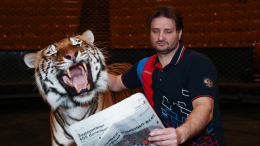 Эдгард Запашный: уехавшие честнее тех, кто остается в России и молчит про СВО