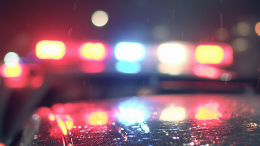 Беременную женщину нашли мертвой в лесу — ребенка рядом не было