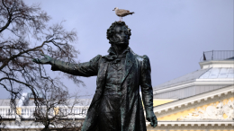 Борьба с гуано: в Петербурге чиновники объявили войну птицам