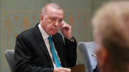 Эрдоган заявил о недопустимости угроз судоходству в экономической зоне Турции