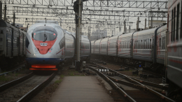 В Ленинградской области остановился «Сапсан», следовавший в Москву
