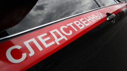 В Приморье шестиклассница заказала студентам избиение своих одноклассников