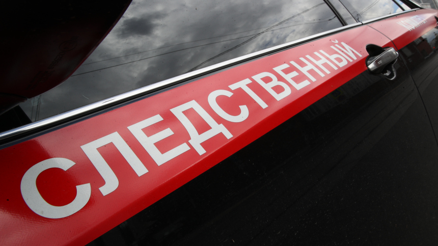 В Приморье шестиклассница заказала студентам избиение своих одноклассников