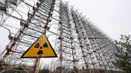 В Чернобыле обнаружили питающийся радиацией черный гриб