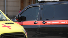 Две машины подряд переехали 11-летнего мальчика в Нижегородской области