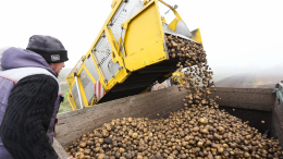 Дмитрий Патрушев: урожайность в 2025-м выше прошлогодней