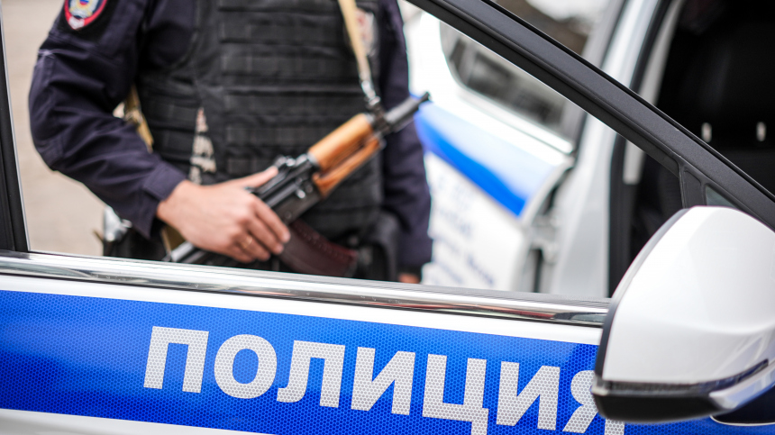 Неизвестный расстрелял собак и избил хозяина в Подмосковье