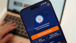 Пени капают: как избежать проблем из-за просрочки уплаты налога