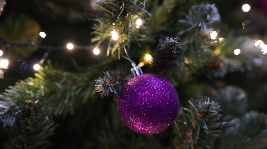 На Цветном бульваре установили 27 островков из елок