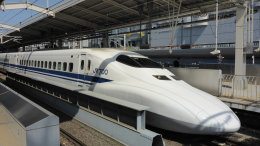 Лебедь остановил поезд в Японии, более тысячи пассажиров пострадали