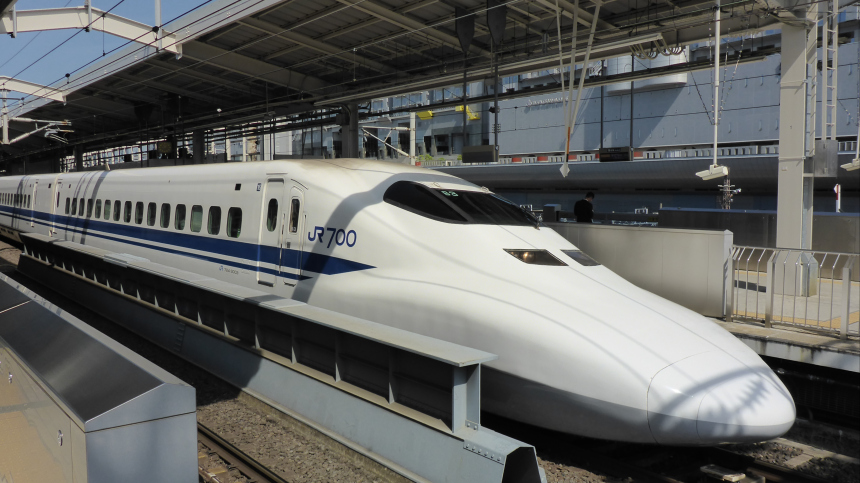 Лебедь остановил поезд в Японии, более тысячи пассажиров пострадали