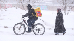 В Новосибирске ударивший пенсионерку курьер лишился работы