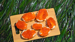 Названа средняя стоимость бутерброда с красной икрой в России