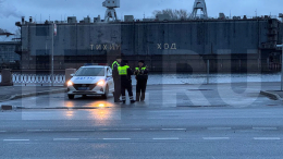 В Петербурге легковушка пробила ограждение и вылетела в реку, есть погибший