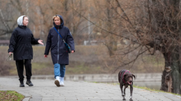 Снега не будет? Какая погода ожидает москвичей до конца следующей недели