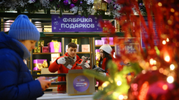 На площадках «Зимы в Москве» начали собирать новогодние подарки для участников СВО