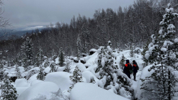Спасатель назвал две наиболее вероятные причины исчезновения семьи Усольцевых