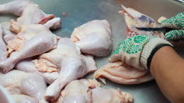 В России пообещали снижение цен на курицу