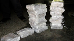 Мужчины пытались перевезти из Ленобласти в Башкирию 40 кг наркотиков