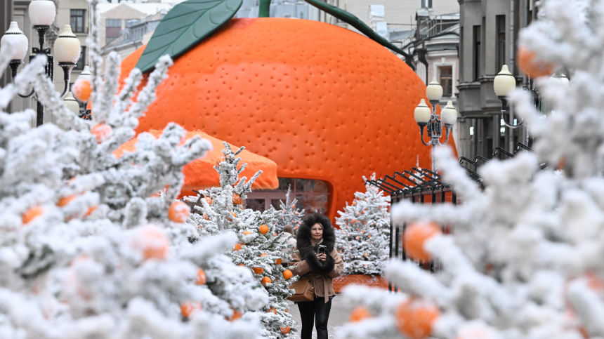Проект «Зима в Москве» — подробнее