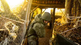 «Гиацинт-Б» уничтожил вражеский пункт управления БПЛА. Лучшее видео из зоны СВО