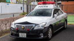 В морозилке заведения для взрослых нашли расчлененное тело младенца