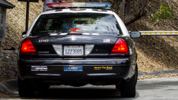 Женщина убила 66-летнюю медсестру из-за соревнований по чирлидингу