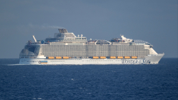 Мужчина выпил 33 коктейля, сорвал с себя одежду и умер на круизном лайнере