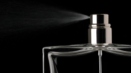 Сомнительное предложение: туристы в Петербурге жалуются на уличных мошенников