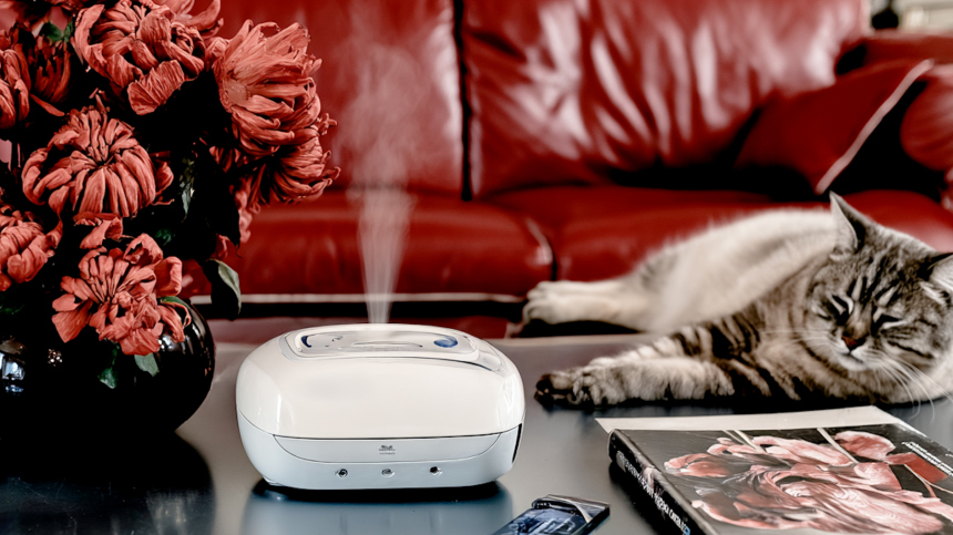 Смертельные запахи: как аромадиффузоры вредят домашним животным