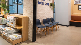 Воры не нашли деньги и украли прах домашних животных из ветклиники