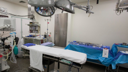 Мужчина заразился бешенством после пересадки инфицированной почки