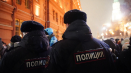 От елки до салюта: пять штрафов, которые могут получить россияне на Новый год