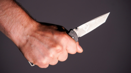 В США сына известного оперного певца задержали по подозрению в убийстве