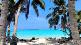 Шевелилась под кожей: россиянин привез в ноге личинку паразита с Мальдив