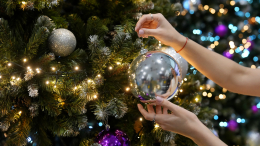 Мушки и плесень: чем опасны трендовые елки с бубликами