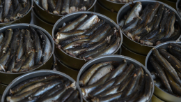 Поддельные шпроты: как распознать настоящий новогодний деликатес