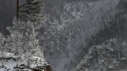 Глаз, как у орла: новые данные о поиске бесследно пропавшей семьи Усольцевых