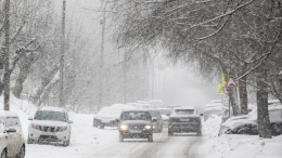 В Пензенской области ввели режим ЧС из-за снегопадов