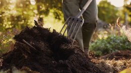 В Амурской области пенсионер 65 раз ударил гостя вилами и добил колуном