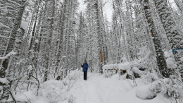 Пропавшие в Пермском крае туристы не регистрировали маршрут в МЧС