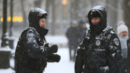 На новогоднем посту: как работают полицейские в праздничную ночь