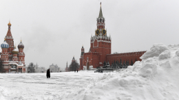 Синоптик предсказала метели на Новый год в Москве