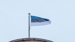 Эстония предложила заплатить Венгрии за отказ от импорта газа и нефти из РФ