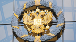 Полмиллиона зрителей и финальный вердикт: чем закончилось дело Ларисы Долиной