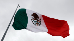 Страсти в парламенте: дебаты в Мексике закончились массовой дракой