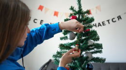 Горит и пылит: чем опасны некачественные искусственные елки